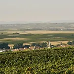 Meyerhof - Weingut, Vinothek&gästehaus Flonheim