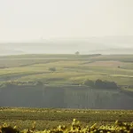 Meyerhof - Weingut, Vinothek&gästehaus Flonheim