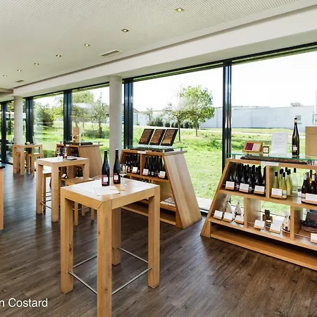 Meyerhof - Bioweingut, Vinothek & Gaestehaus Flonheim