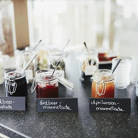 Meyerhof - Bioweingut, Vinothek & Gaestehaus 3* Flonheim