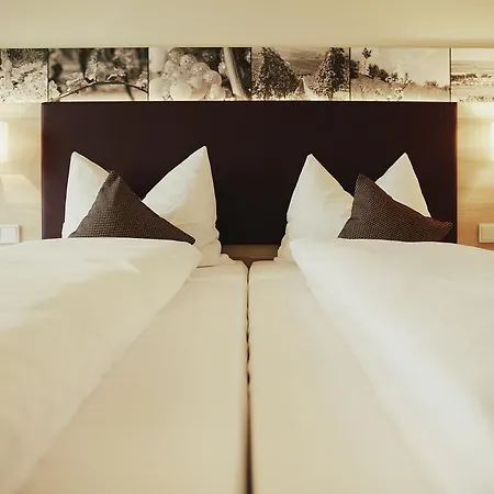 Meyerhof - Bioweingut, Vinothek & Gaestehaus Hotell