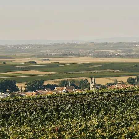 Meyerhof - Bioweingut, Vinothek & Gaestehaus Flonheim