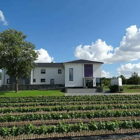 Szálloda Meyerhof - Bioweingut, Vinothek & Gaestehaus Flonheim