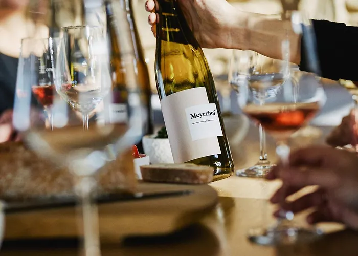 Meyerhof - Bioweingut, Vinothek & Gaestehaus פלונהיים