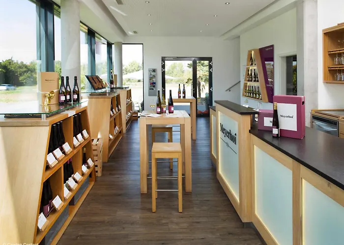 Meyerhof - Bioweingut, Vinothek & Gaestehaus 3* פלונהיים