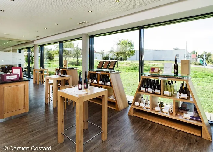 Meyerhof - Bioweingut, Vinothek & Gaestehaus פלונהיים