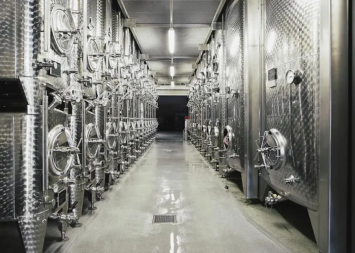 מלון Meyerhof - Bioweingut, Vinothek & Gaestehaus 3*