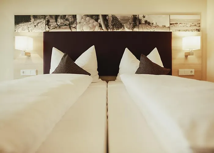 Meyerhof - Bioweingut, Vinothek & Gaestehaus מלון