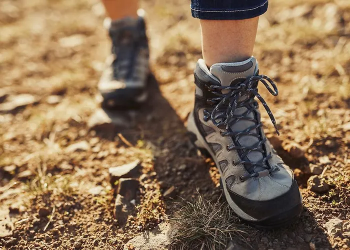 Meyerhof - Bioweingut, Vinothek & Gaestehaus מלון פלונהיים