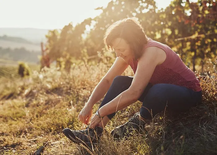 Meyerhof - Bioweingut, Vinothek & Gaestehaus מלון 3*