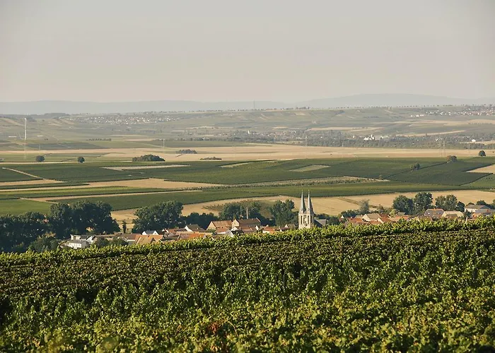 Meyerhof - Bioweingut, Vinothek & Gaestehaus פלונהיים